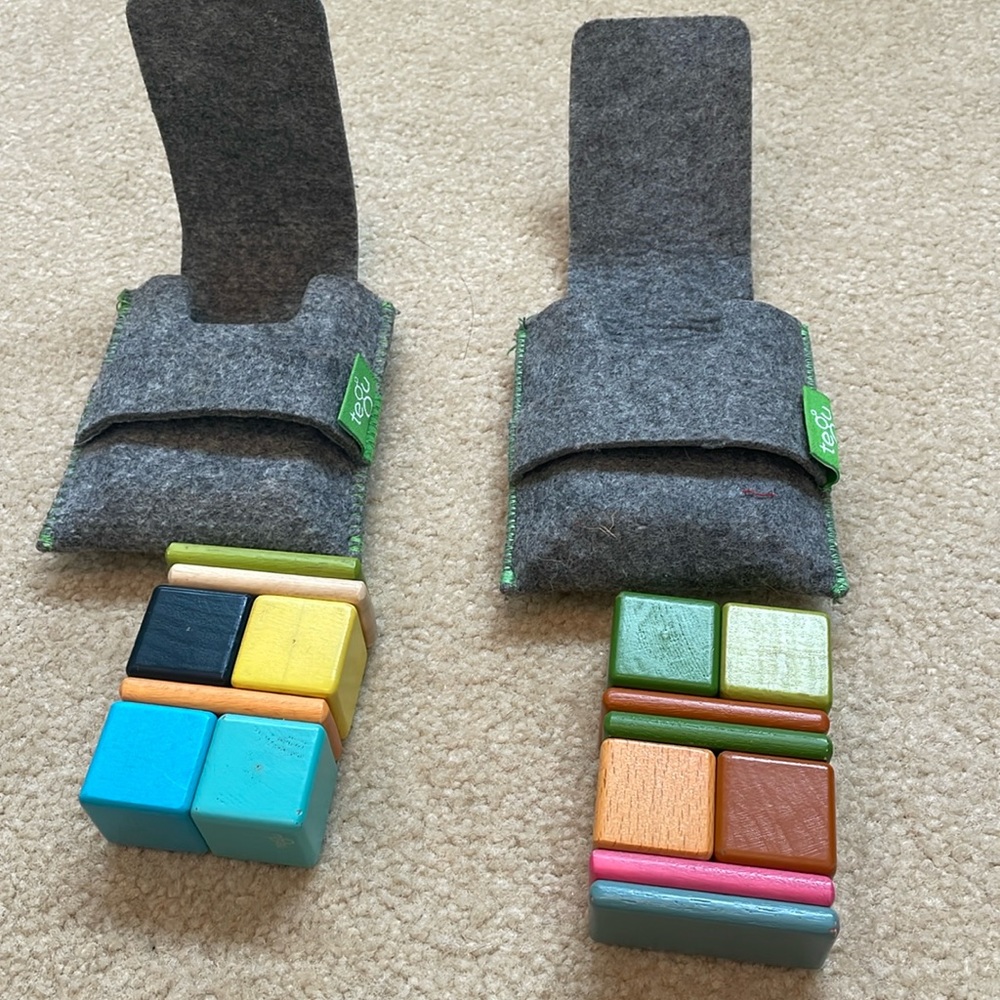 2 travel Tegu magnetic block sets